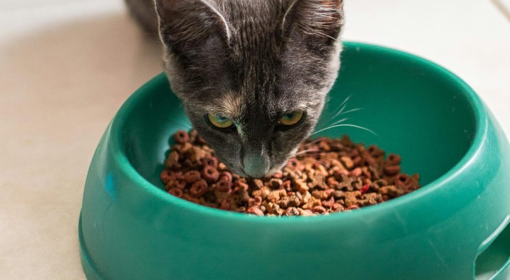 dry foods